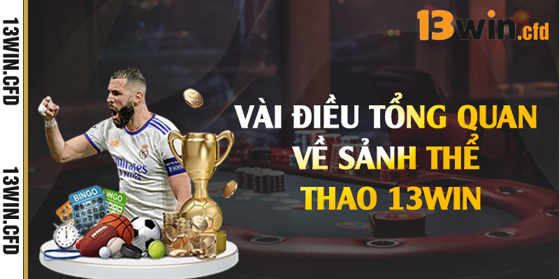 Vài điều tổng quan về sảnh thể thao 13Win